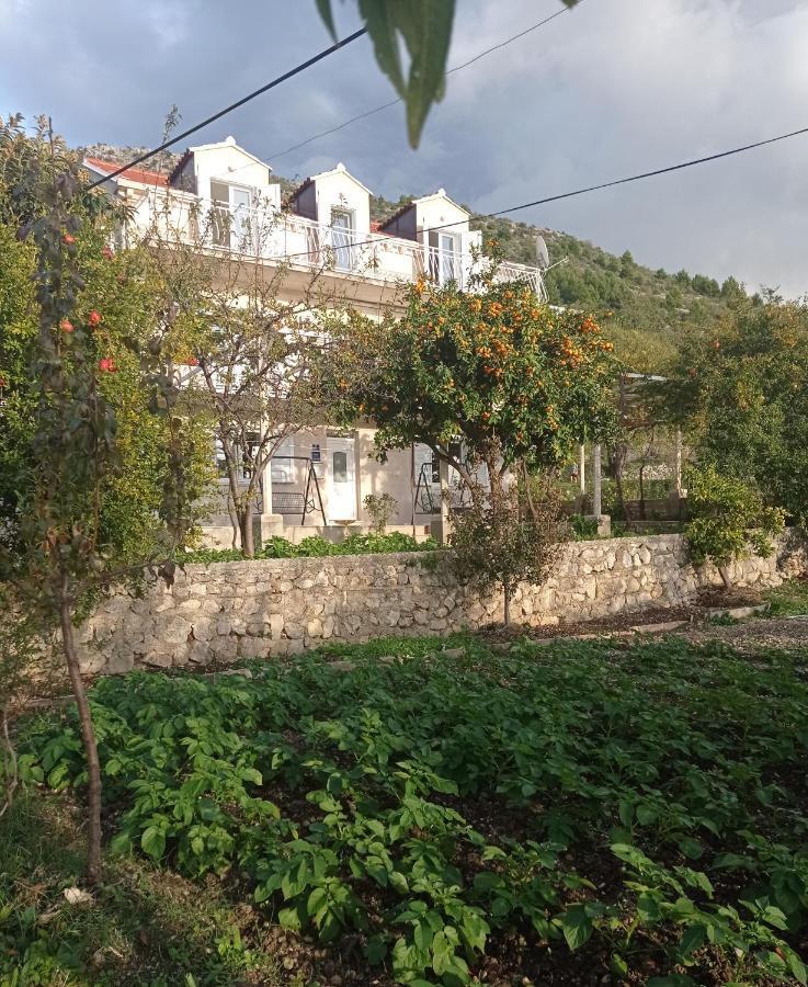 Apartment Lucija With Sea View Дубровник Екстериор снимка